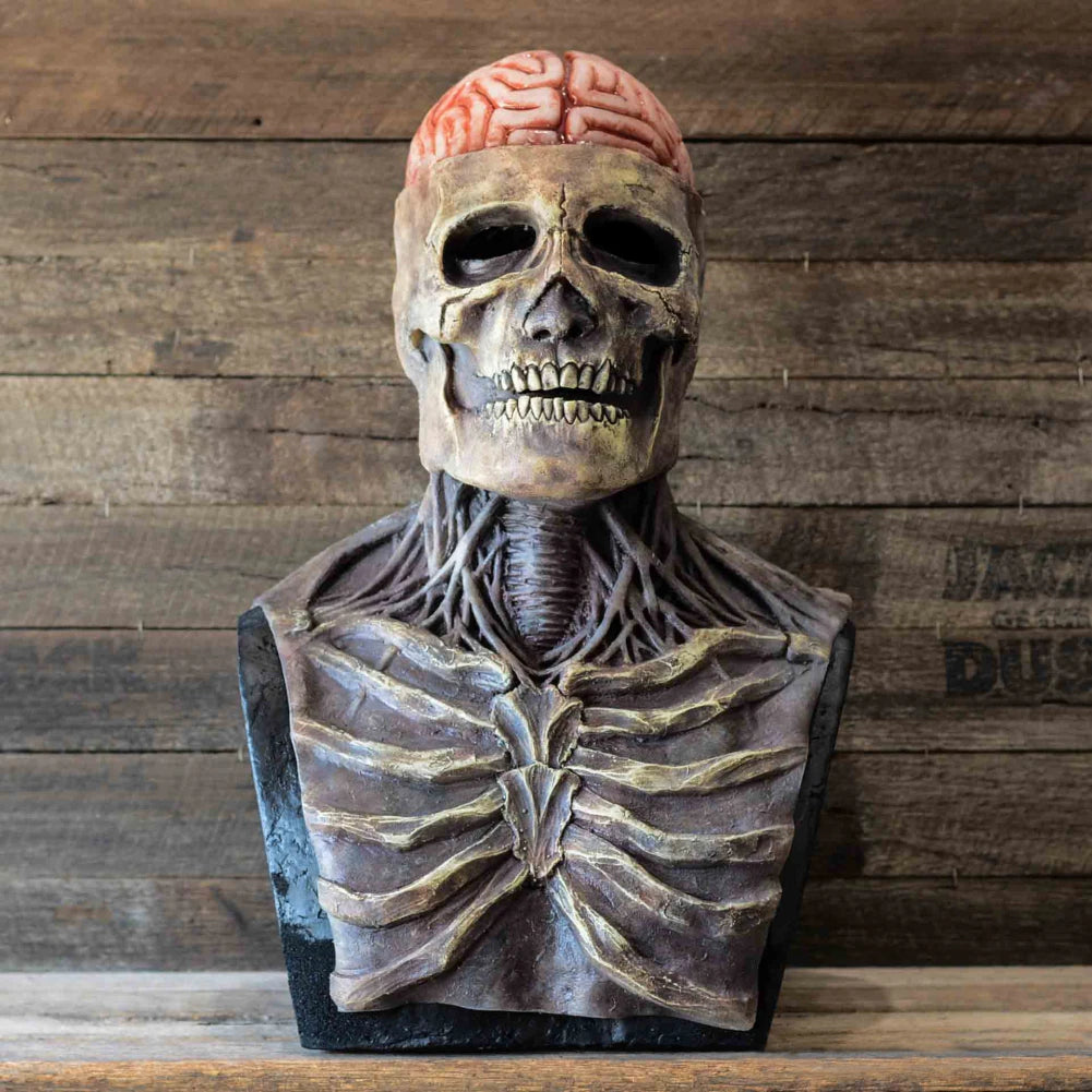 Zombie Head & Brain Full Skull Mask